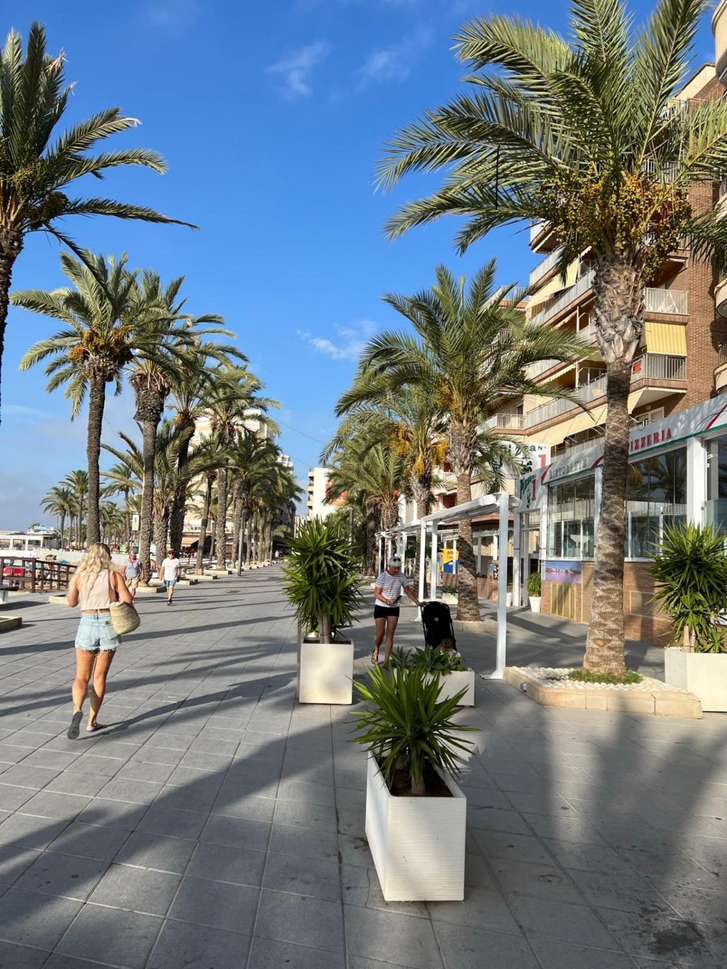 Beautiful Apartment Playa Del Cura Beach In Torrevieja Spain Exteriér fotografie